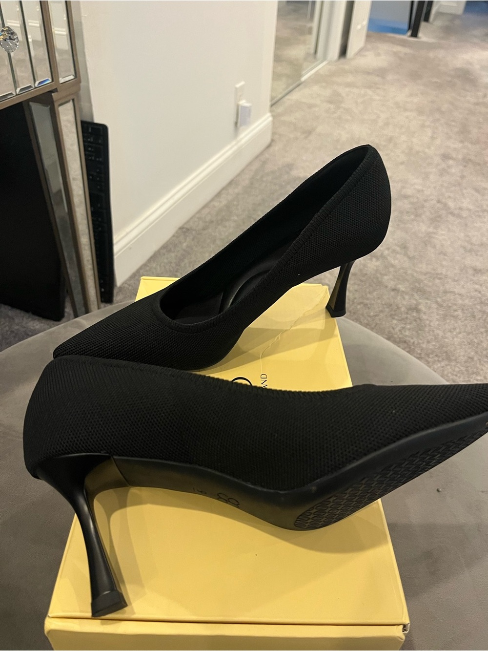 Classic Black Pointed Mesh Stiletto Heels
